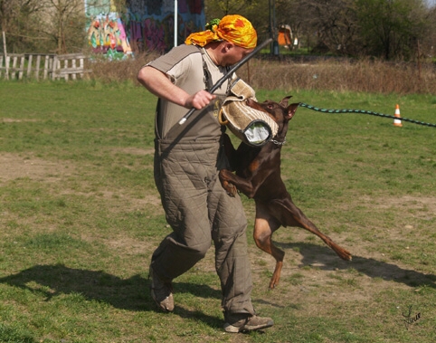 Hesta di Altobello - training 4. 4. 2007